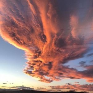 Meet your Posher, Leonardo